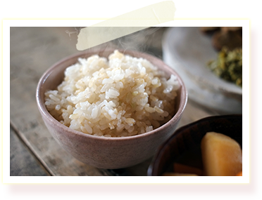 玄米と酵素